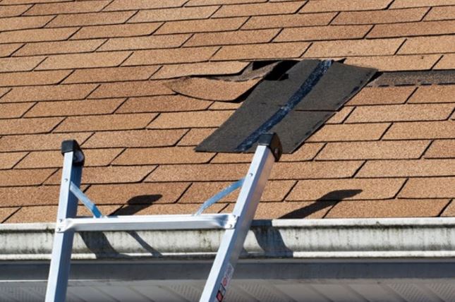 Damaged roof shingles with ladder for repair.