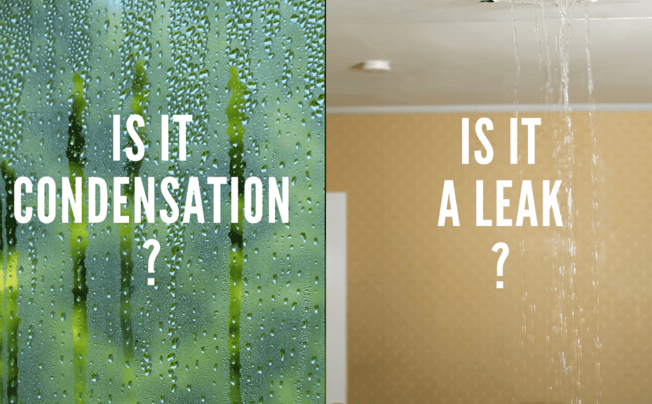 Condensation or leak question with images.