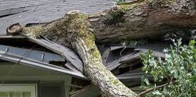 A tree that has fallen on the roof of a house.